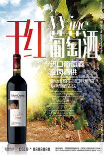 干红葡萄酒饮品宣传促销海报图片